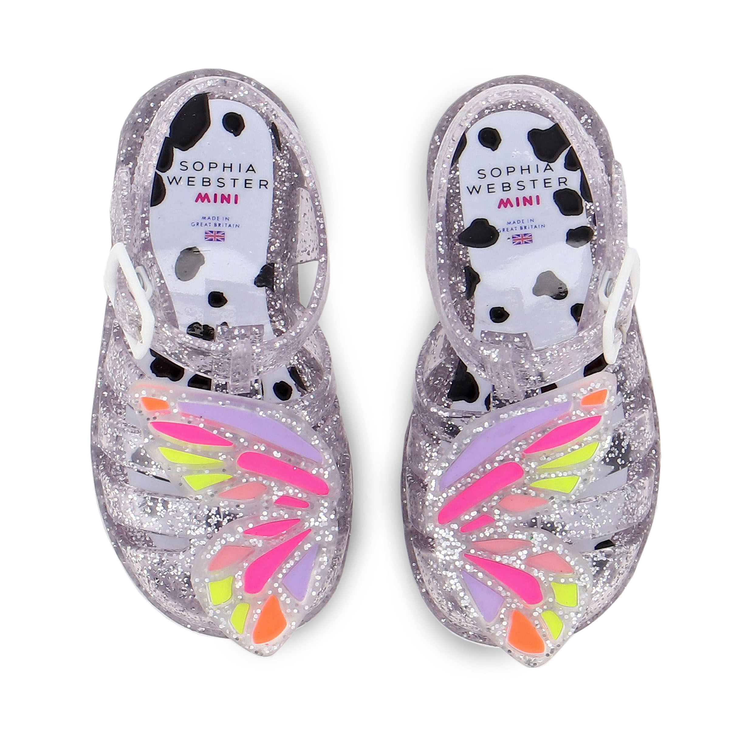 lebron slides